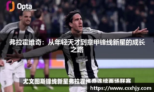 弗拉霍维奇：从年轻天才到意甲锋线新星的成长之路
